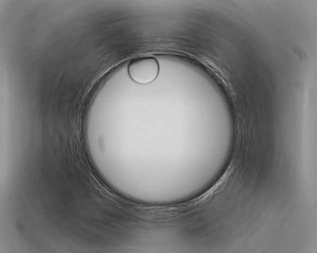 X0000115551449200911061117
