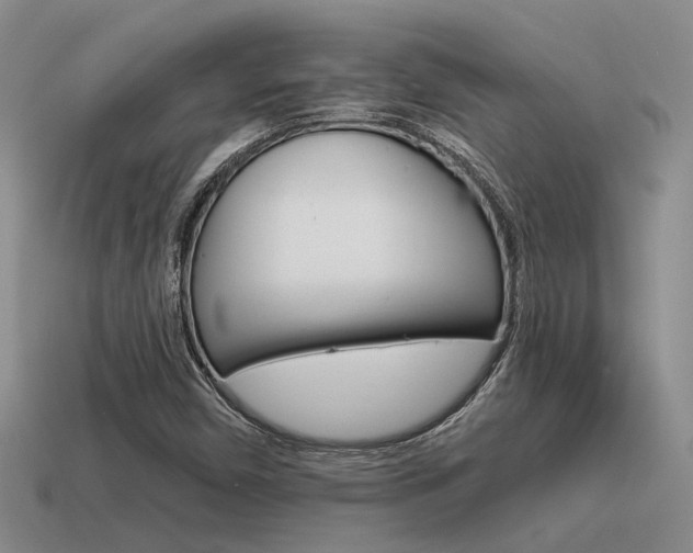 X0000115551450200911061117
