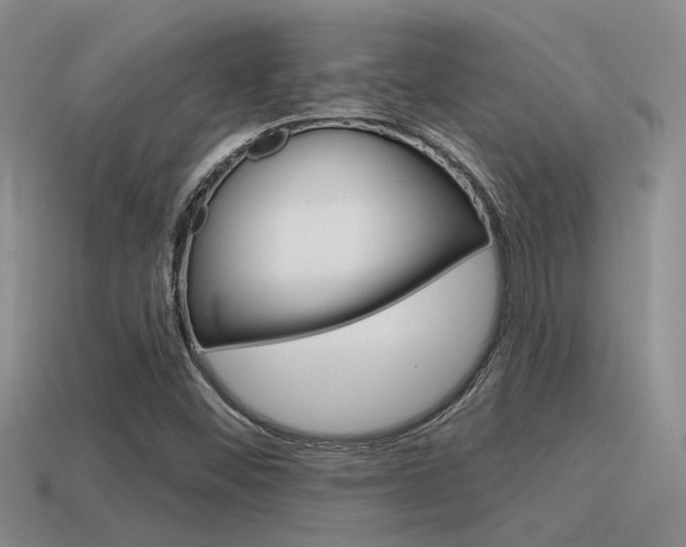 X0000115551452200911061117