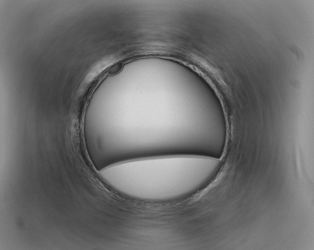 X0000115551453200911061117
