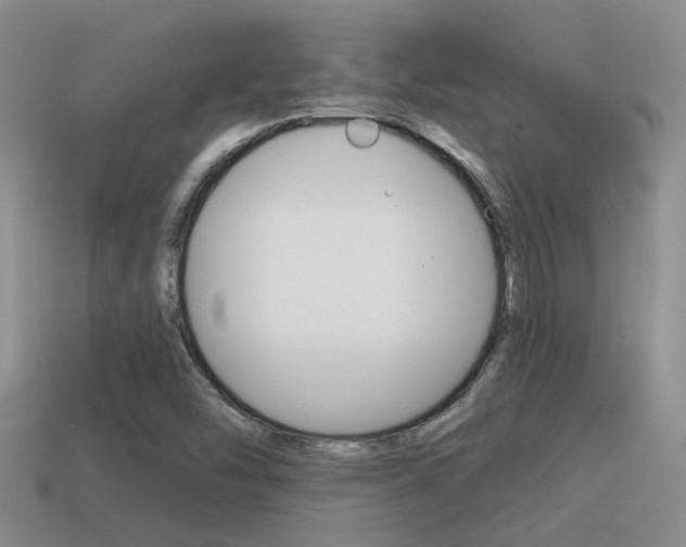 X0000115551454200911061117