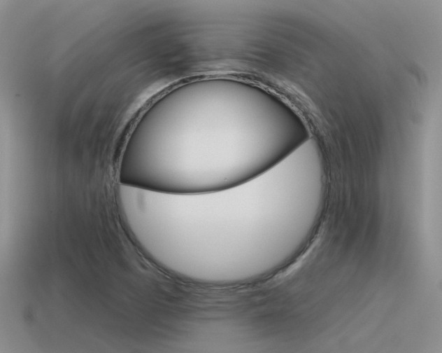 X0000115551457200911061117