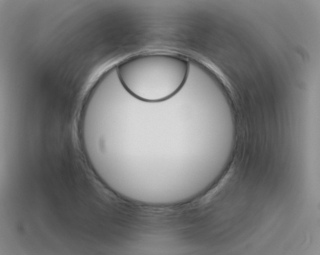 X0000115551461200911061117