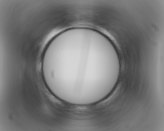 X0000115551462200911061117