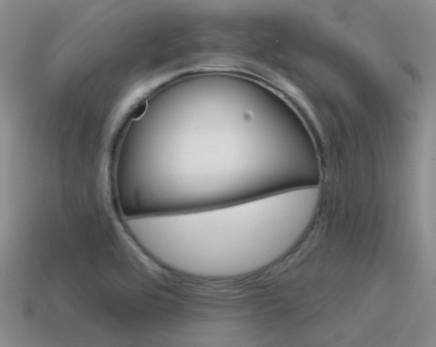 X0000115551464200911061117