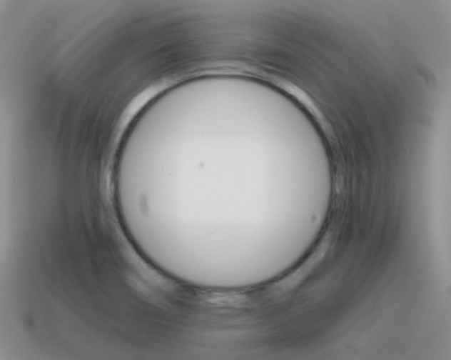 X0000115551466200911061116