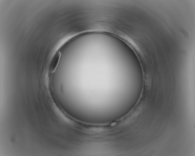 X0000115551468200911061116