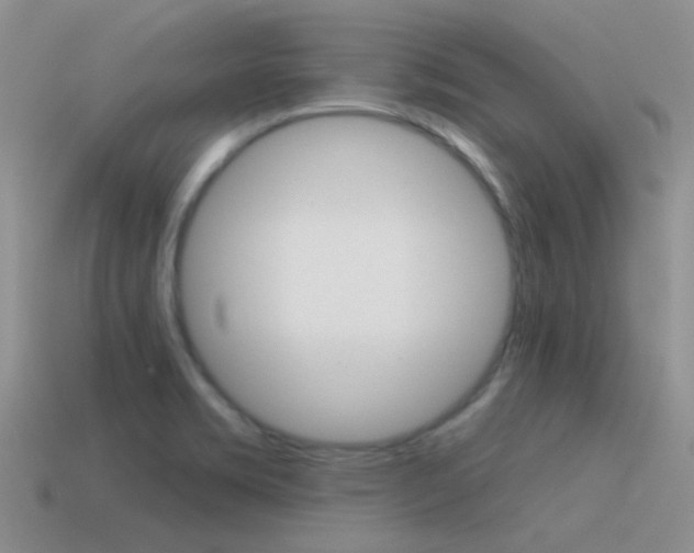 X0000115551469200911061116