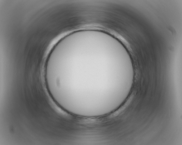 X0000115551470200911061116