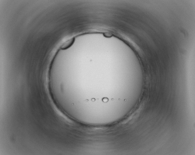 X0000115551471200911061116