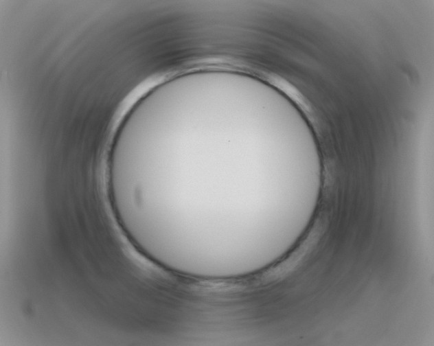 X0000115551474200911061116