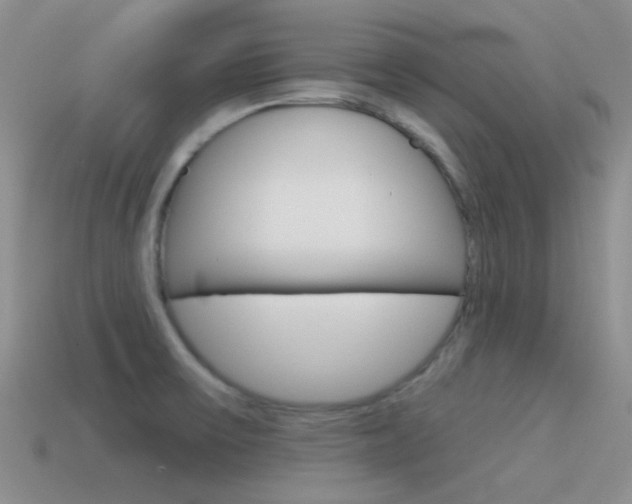 X0000115551475200911061116