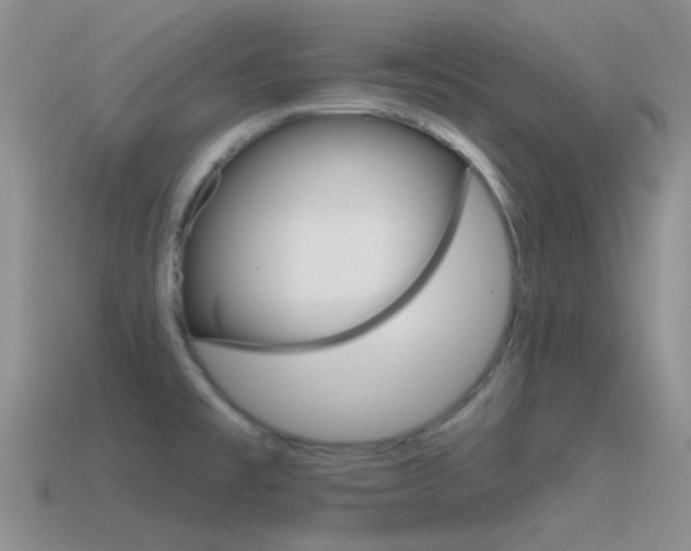 X0000115551477200911061116