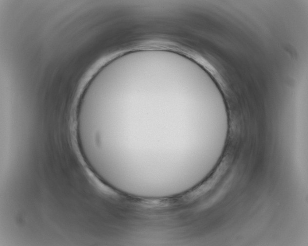 X0000115551478200911061116