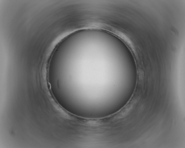 X0000115551480200911061116