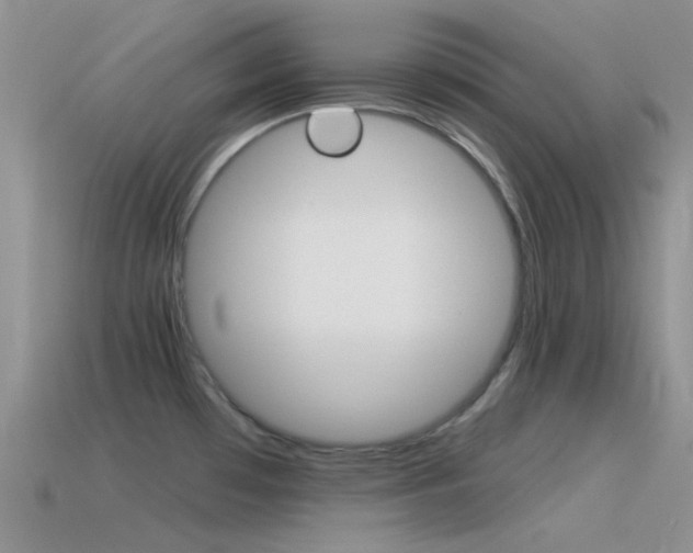 X0000115551481200911061116