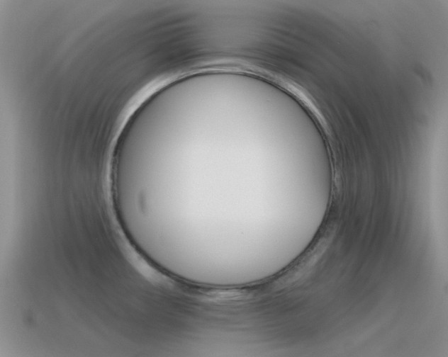 X0000115551482200911061116