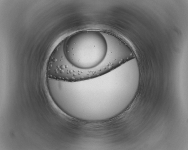 X0000115551483200911061116
