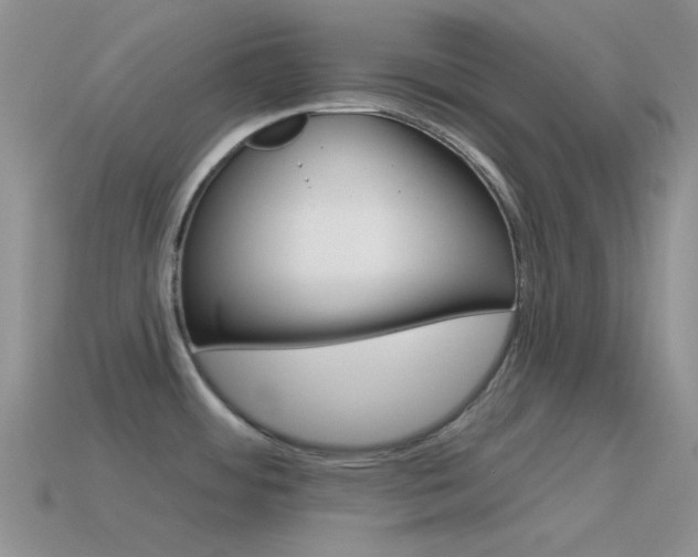 X0000115551484200911061116