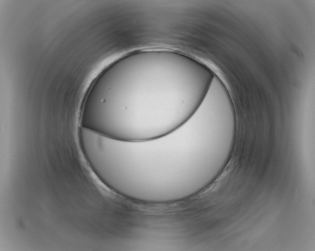 X0000115551485200911061116