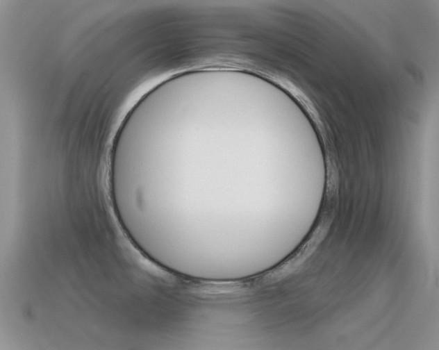 X0000115551486200911061116