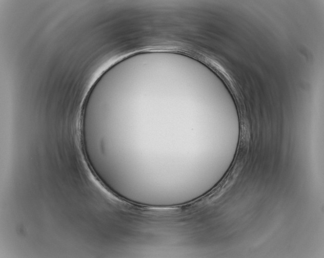 X0000115551487200911061116