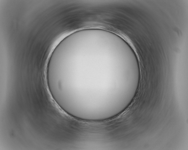 X0000115551488200911061116