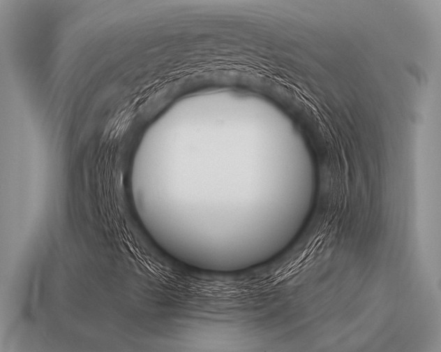 X0000115551489200911061116