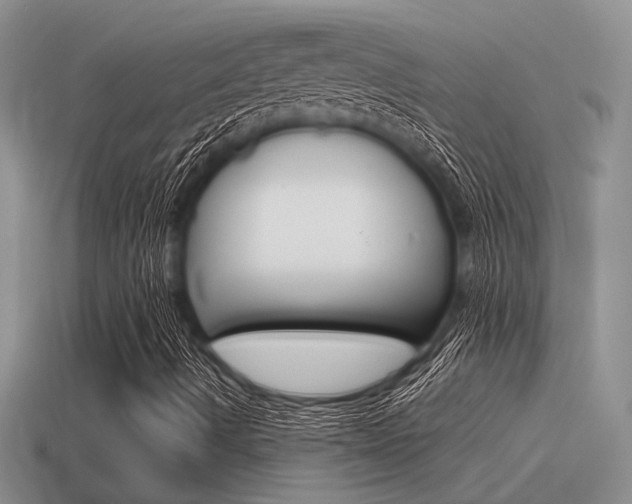 X0000115551490200911061116