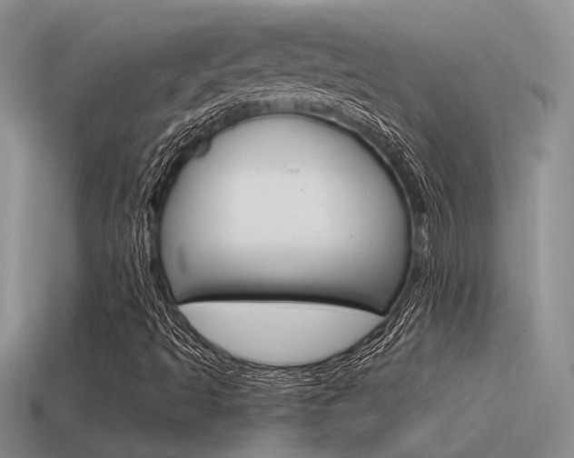 X0000115551493200911061116