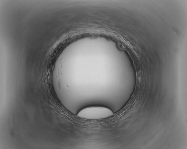 X0000115551495200911061116