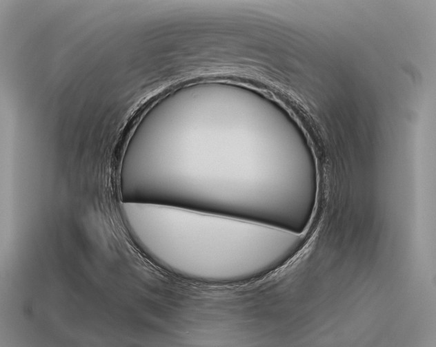 X0000115551497200911061116