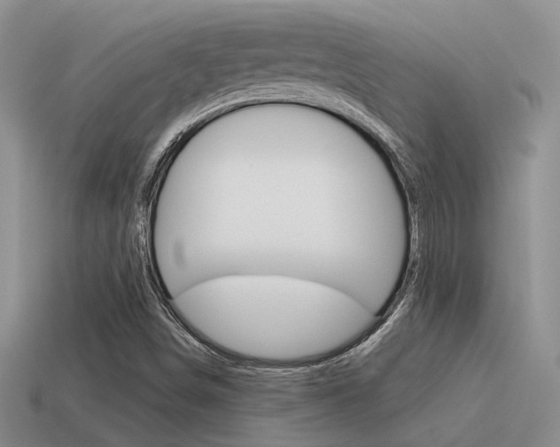 X0000115551498200911061116
