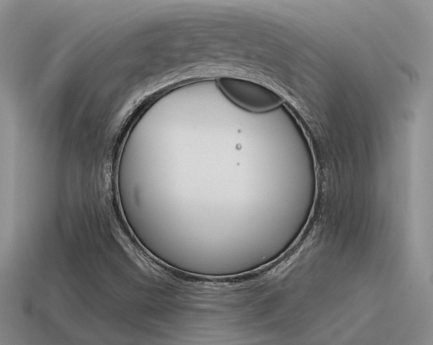 X0000115551499200911061116
