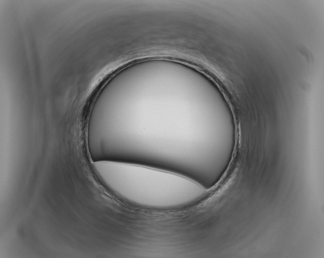 X0000115551501200911061116