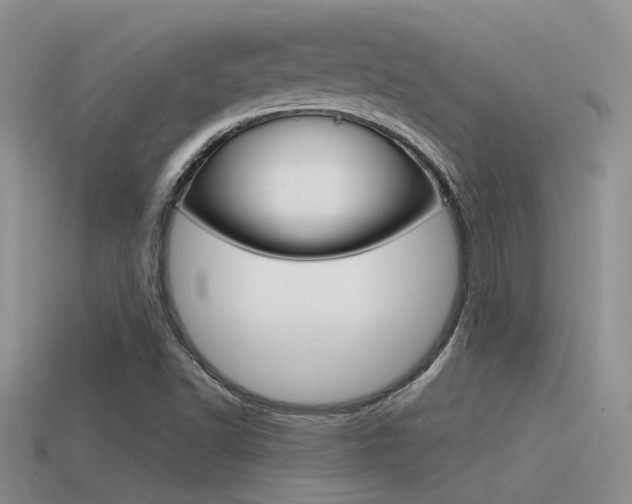 X0000115551502200911061116
