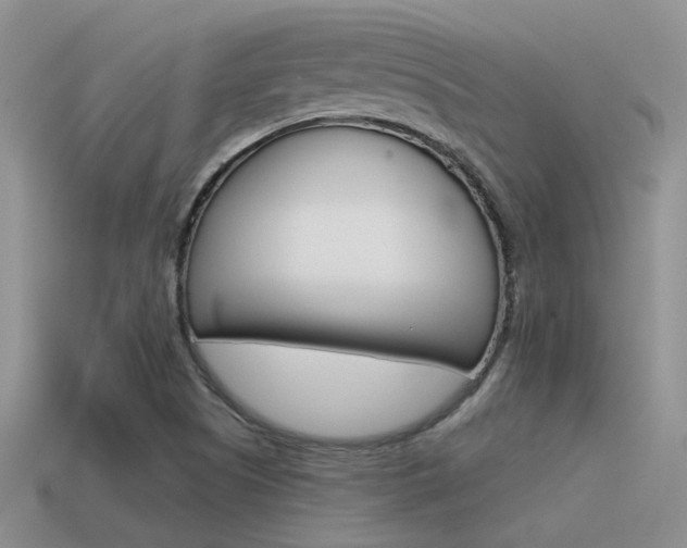 X0000115551505200911061116