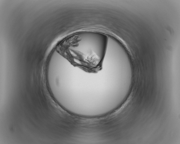 X0000115551506200911061116