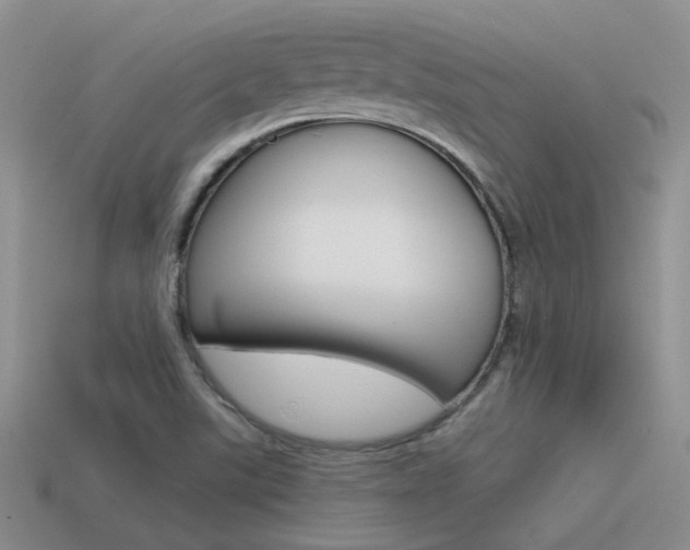 X0000115551507200911061116