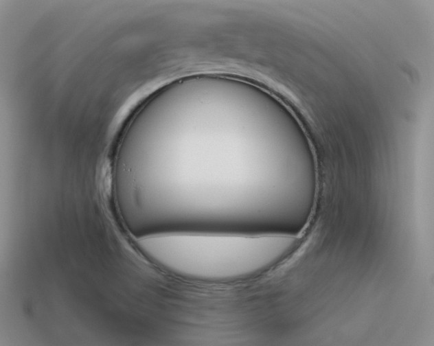 X0000115551509200911061116