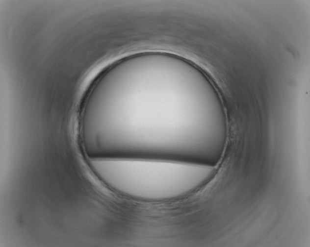 X0000115551511200911061116
