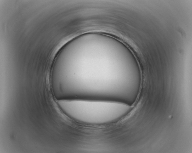 X0000115551513200911061116