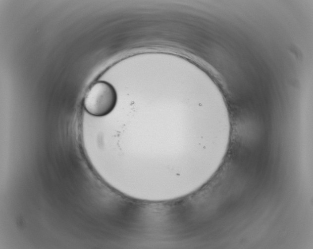 X0000115551514200911061116