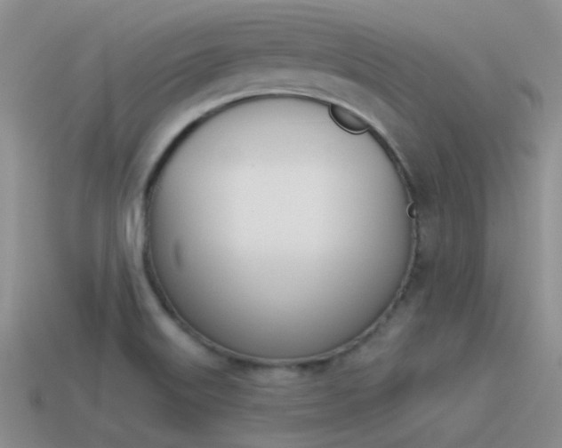 X0000115551515200911061116