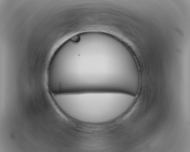 X0000115551517200911061116