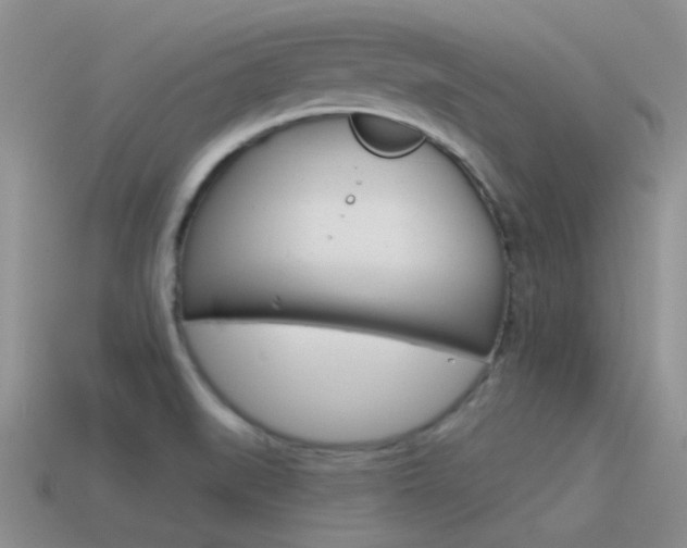 X0000115551519200911061116