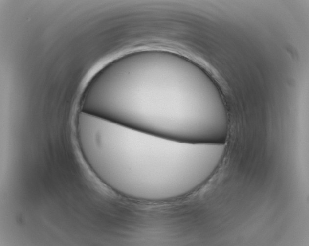 X0000115551522200911061116