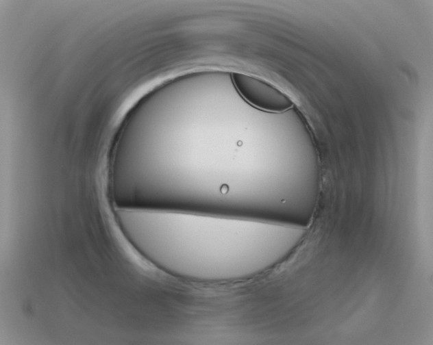 X0000115551523200911061116