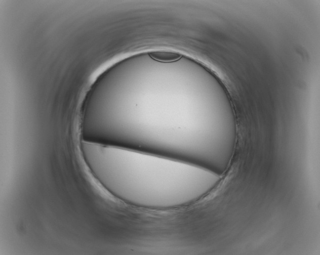 X0000115551526200911061116