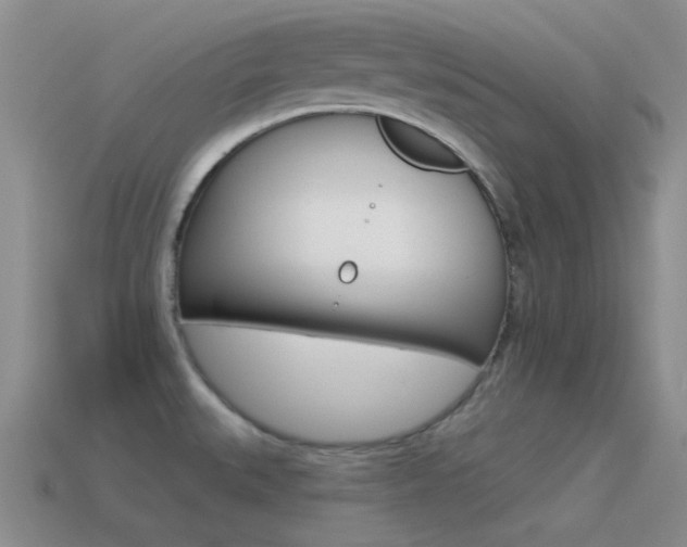 X0000115551527200911061116